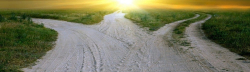 Three Paths at the Automated Crossroads