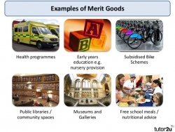 Financial Credit as a Merit Good